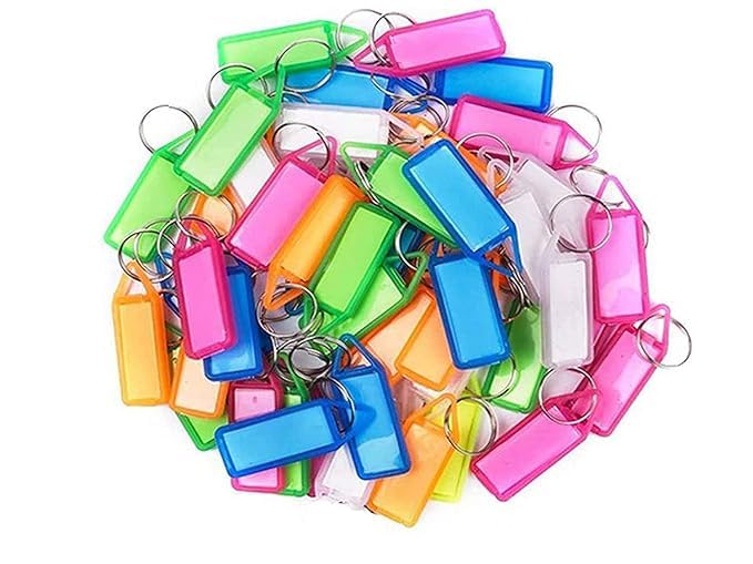 Pack of 100 Multicolor Plastic Keyring and Keychain with Name Tag Labels (Multicolor)