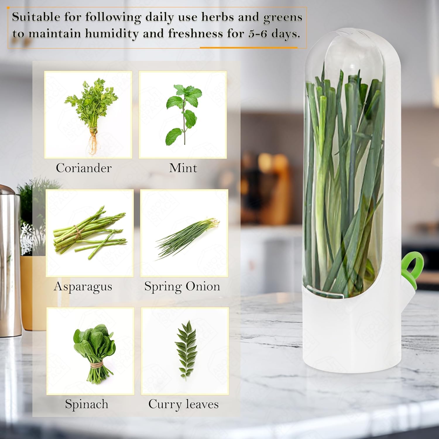 Fresh Herb Keeper for Cilantro, Parsley, Asparagus, Mint, Keeps Greens Vegetables for 2-3 Weeks