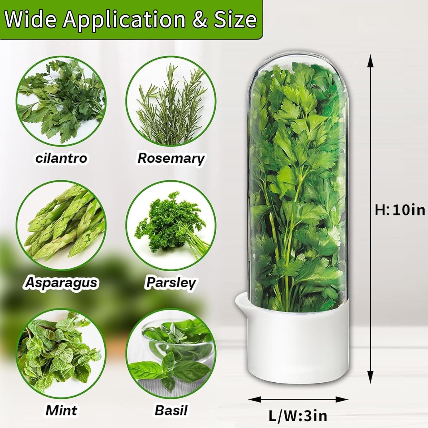 Fresh Herb Keeper for Cilantro, Parsley, Asparagus, Mint, Keeps Greens Vegetables for 2-3 Weeks