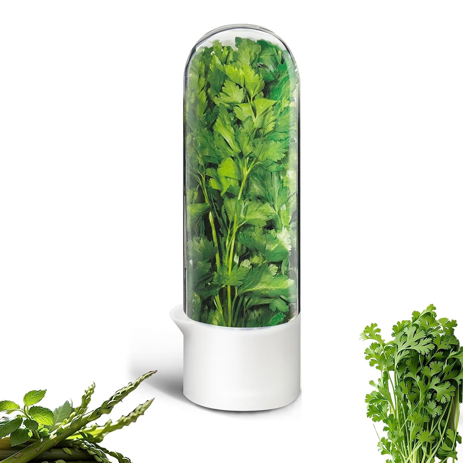 Fresh Herb Keeper for Cilantro, Parsley, Asparagus, Mint, Keeps Greens Vegetables for 2-3 Weeks