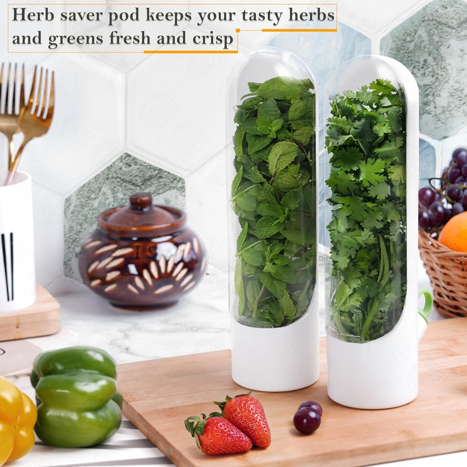 Fresh Herb Keeper for Cilantro, Parsley, Asparagus, Mint, Keeps Greens Vegetables for 2-3 Weeks